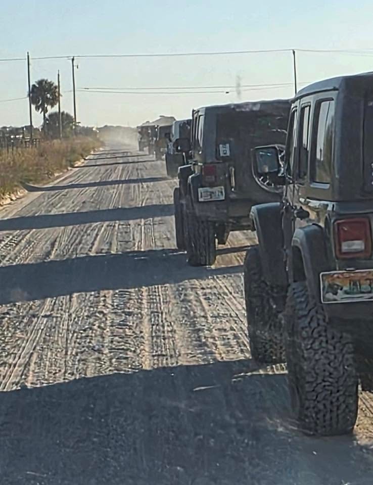 Scenic forest road in Florida